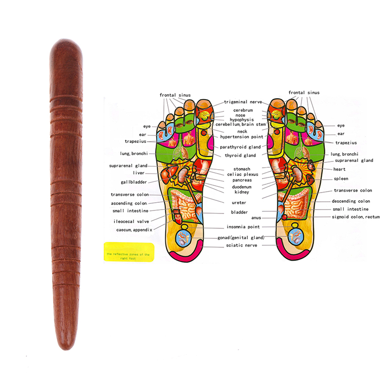 Spa Wellness Massage - สปาเท้าไม้กายภาพบําบัดนวดกดจุดนวดเท้าไทยสุขภาพแผนภูมิฟรีนวด Stick เครื่องมือ